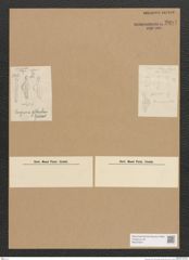 Diatomeae indet. Zeichnungen Sammlung Grunow Nr. 2897 (NHMW-BOT-W0370231)